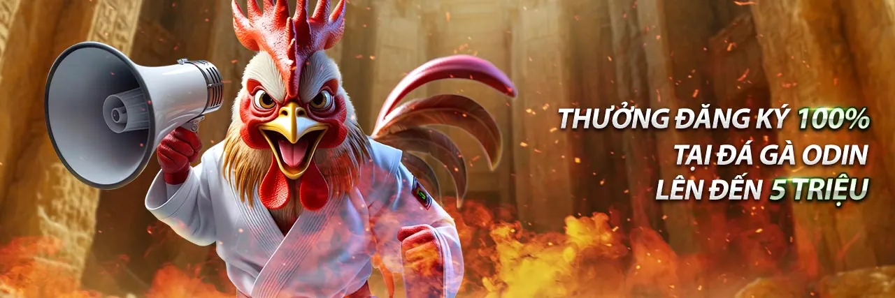 Hình ảnh chính về cách chọn trang cá cược trực tuyến uy tín UC88